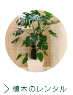 植木のレンタル