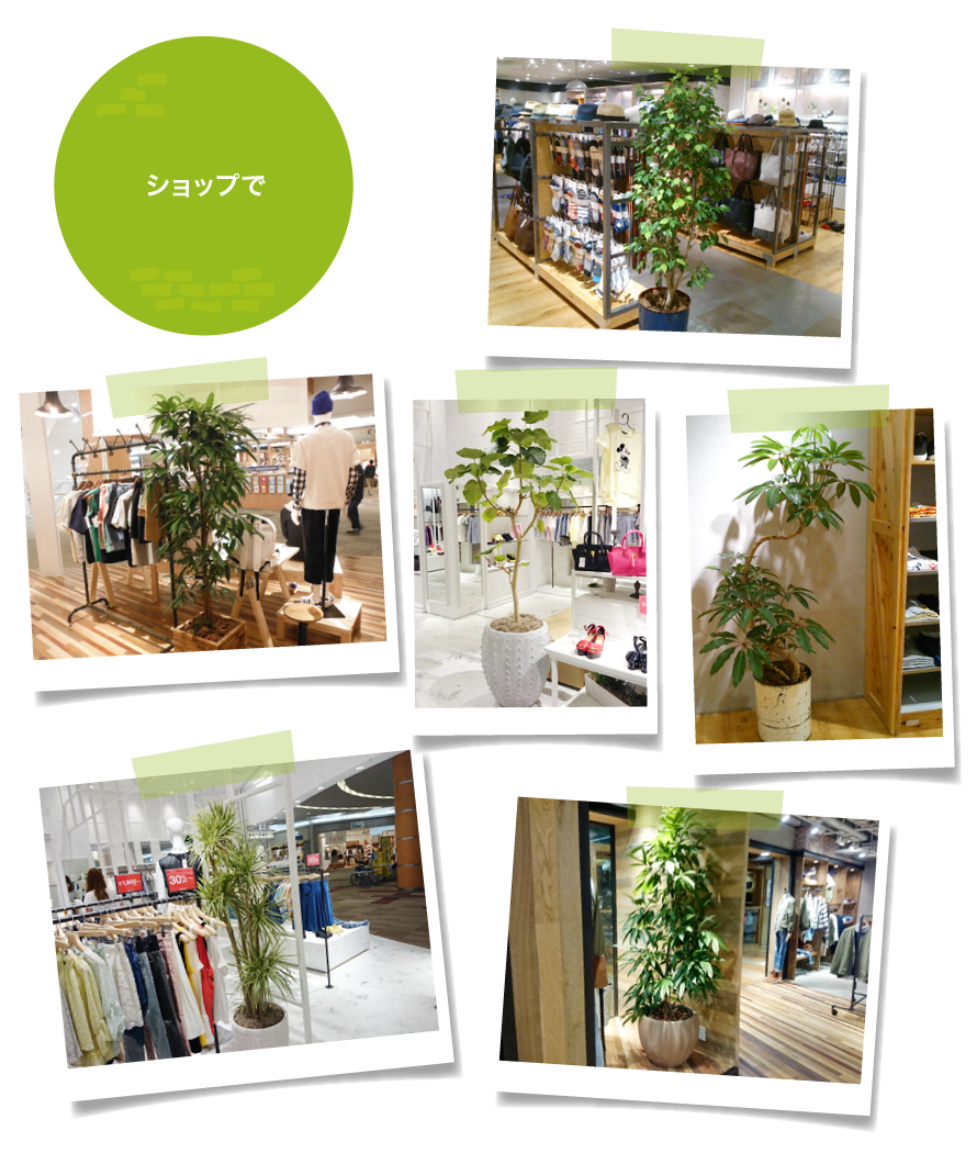 ショップで